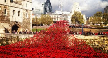 Las mejores fotos del río de amapolas que inundó la Torre de Londres