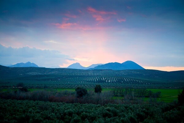 campos de baeza al atardecer