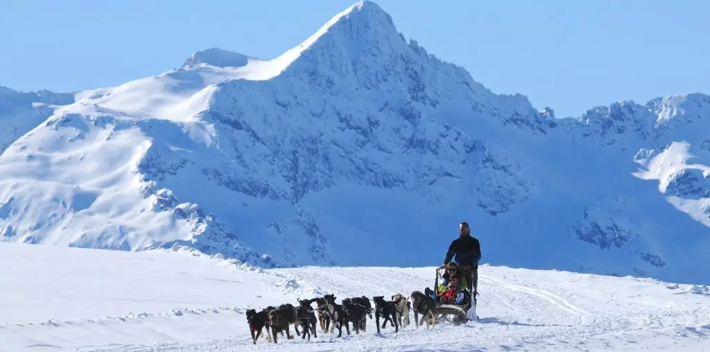 Aternativas originales al esquí - Pirineos de Catalunya. Mushing