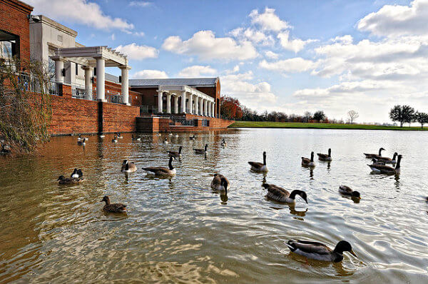 lago de patos en el museo de montgomery