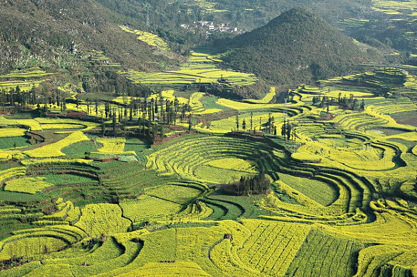 yunnan china primavera