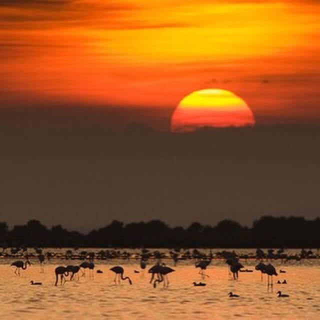 Atardecer en el Delta del Ebro. Foto de @deltadelebre