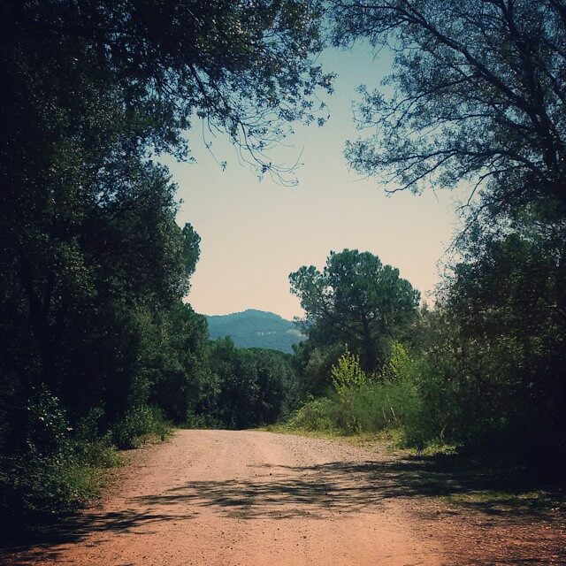 Camino en el Montseny. Foto de @irma_lo