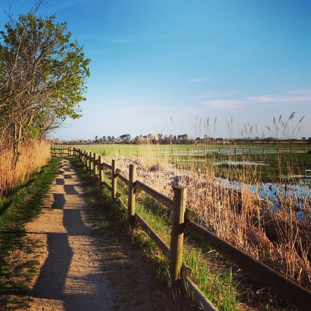 Camino en el parque de Aiguamolls de l’Emporda. Foto de @carles_millan