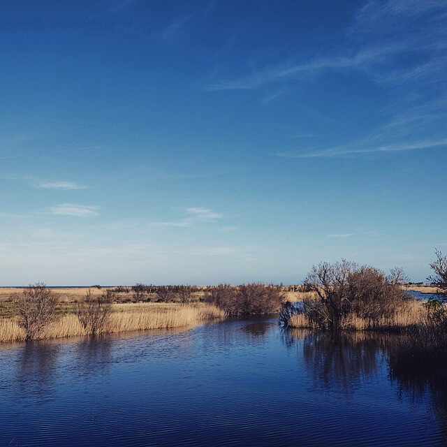 Foto de @carles_millan