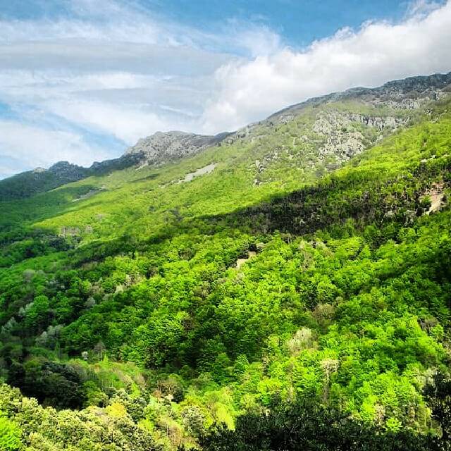 Foto de @turmontseny