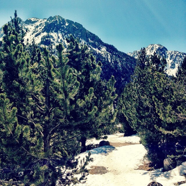 Foto de  @vanchibolanho