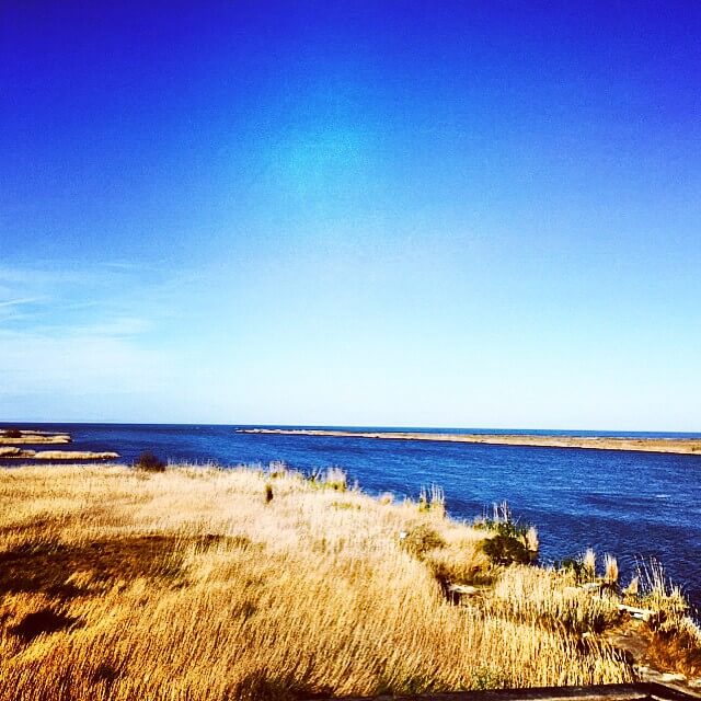 Las marismas. Foto de @barbara_terrer