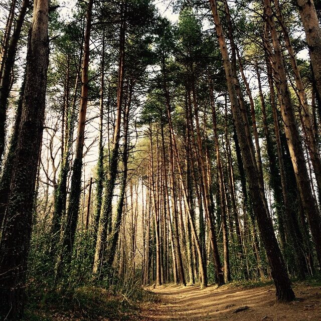 Pantano de Santa Fe. Foto de @corrent_sarriba