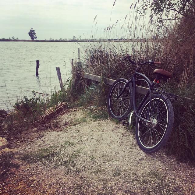 Paseos en bici en el Delta. Foto de @mfbec