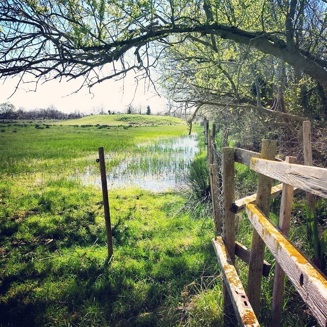 aiguamolls de lemporda @fonspg