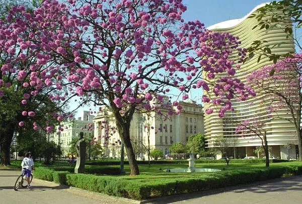 Plaza de la Liberdade Belo Horizonte, Brasil plaza liberdade belo horizonte