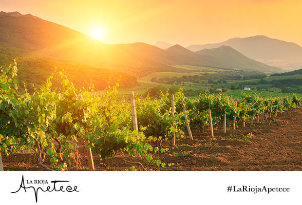 razones para ir a la rioja