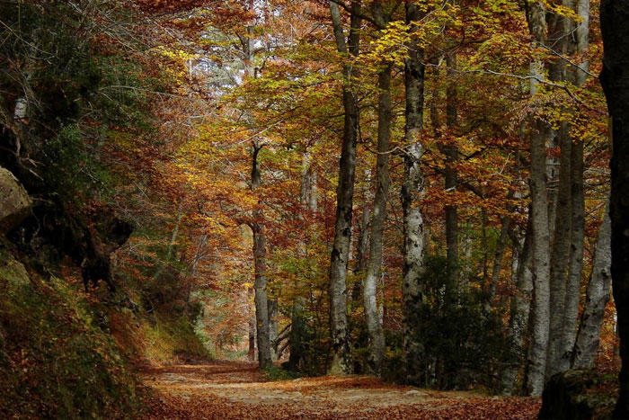 sierra-de-cebollera-Shemsu.Hor_