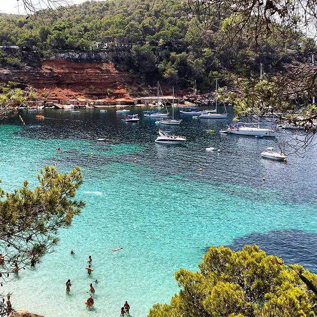 calasalada en ibiza