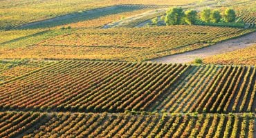 La Rioja en un día: ruta del vino
