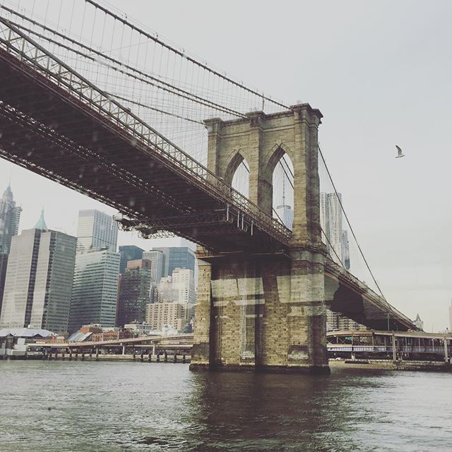 puente de brooklyn