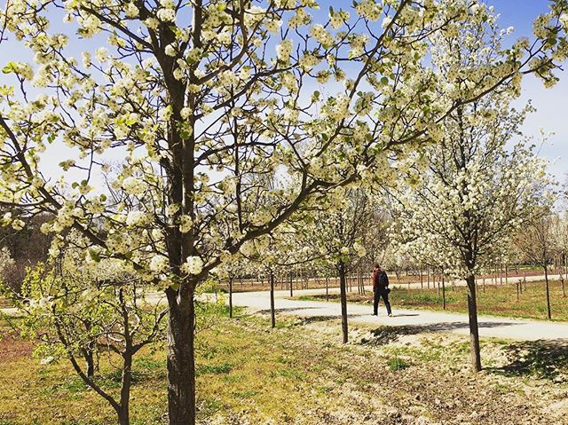 jardines aranjuez