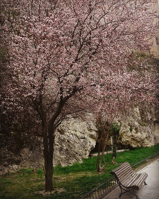 cuenca en primavera