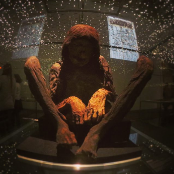 Momia en el Parque de las ciencias de Granada