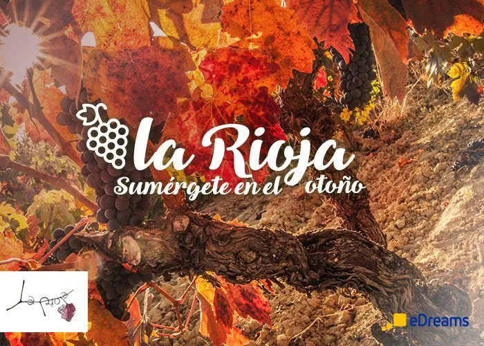 ed_social_twitter_post_la_rioja_700x500