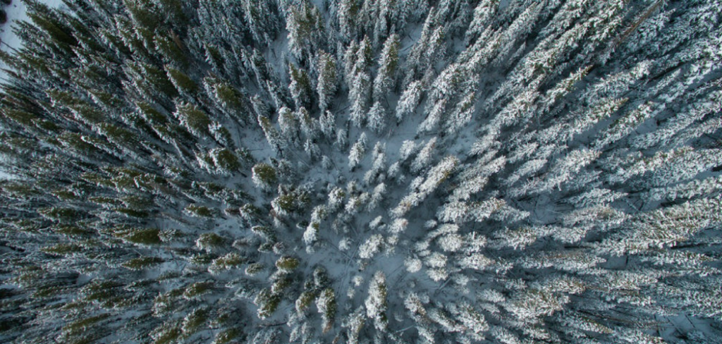 7 Alternativas al esquí en los Pirineos