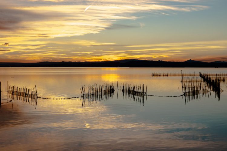 Puesta de sol en el Parque Natural de la Albufera, Valencia