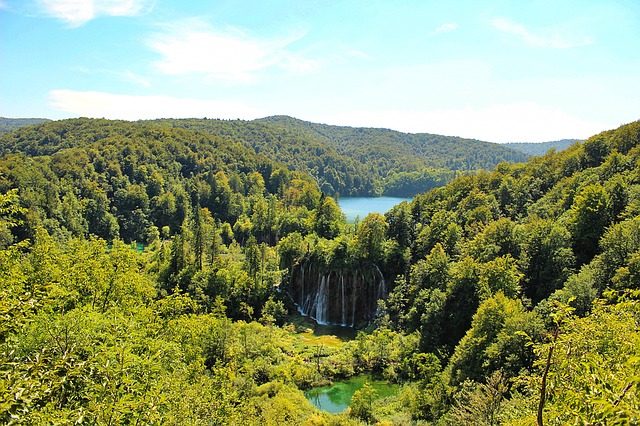 Los bosques más bellos del mundo. Croacia