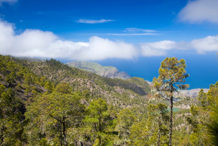 Parque Natural de Tamadaba en la isla de Gran Canaria 