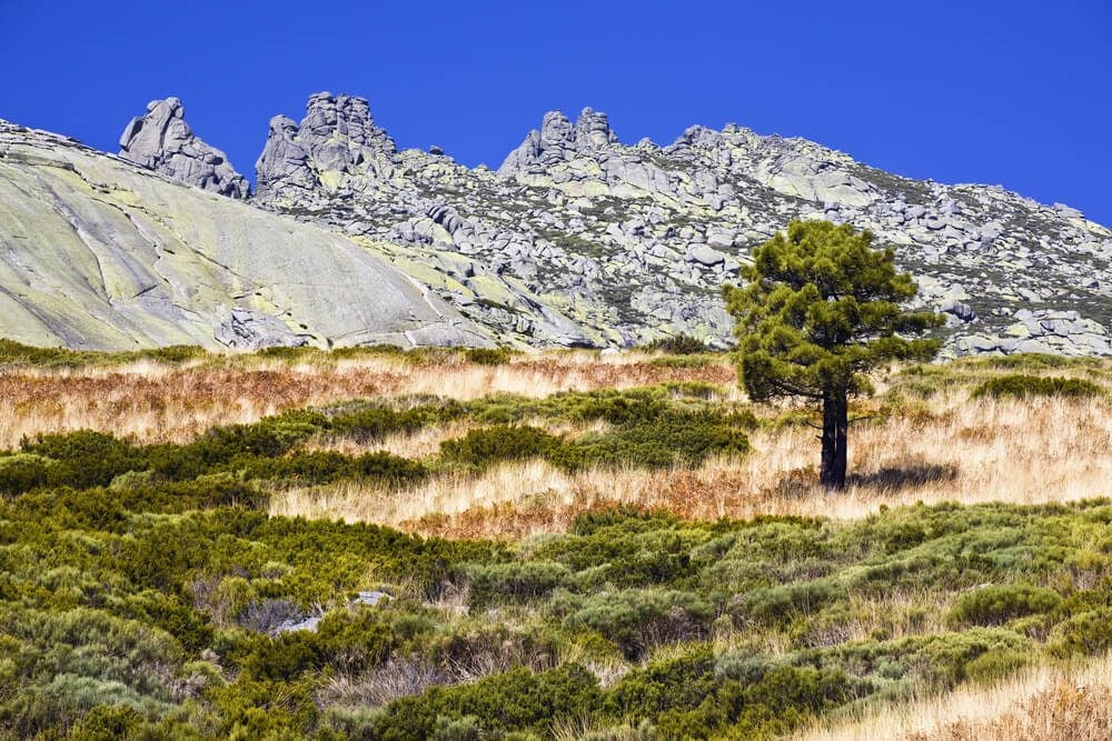 Agujas de gratino llamadas Los Galayos, en la ruta del Carril de los Galayos en la Sierra de Gredos