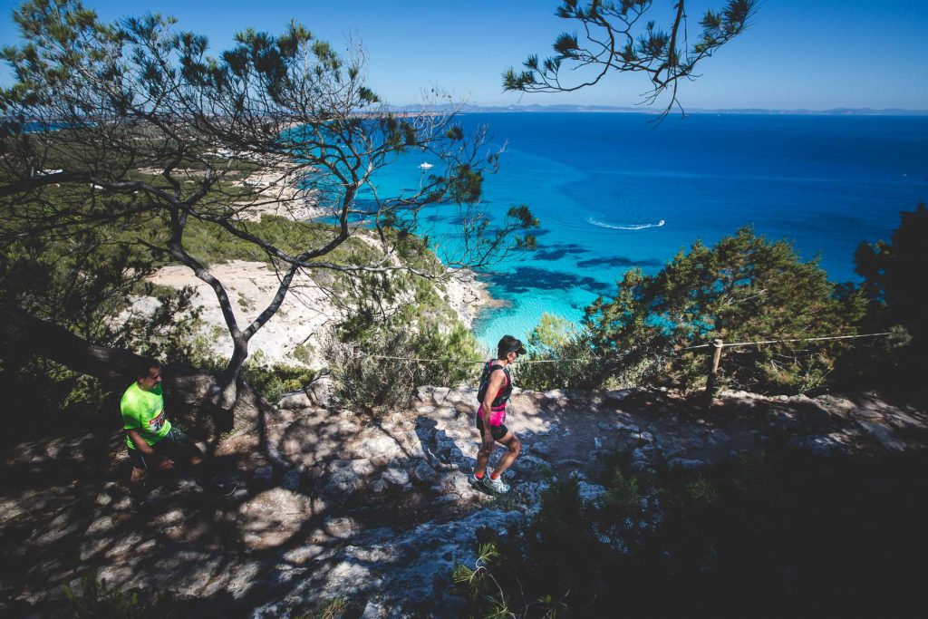 observacion de aves Formentera