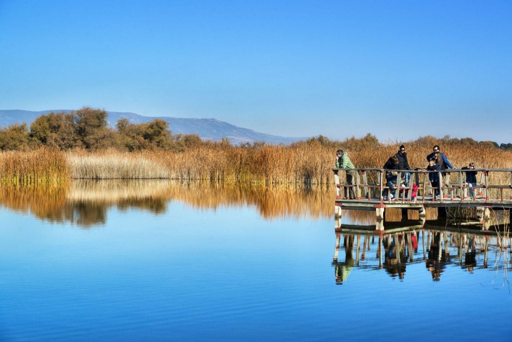 Humedales del Parque Nacional de las Tablas de Daimiel en Castilla-La Mancha