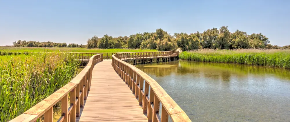 Puente de madera en los humedales de las Tablas de Daimiel, Castilla-La Mancha