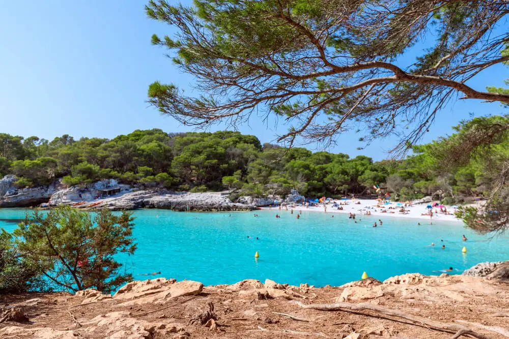 Pinos y roca caliza en Cala Turqueta, Menorca