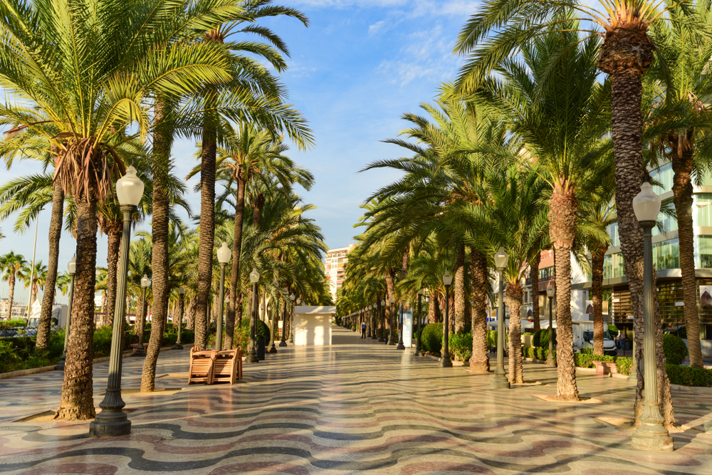 Paseo de la Explanada de España con palmeras y suelo en forma de olas en Alicante