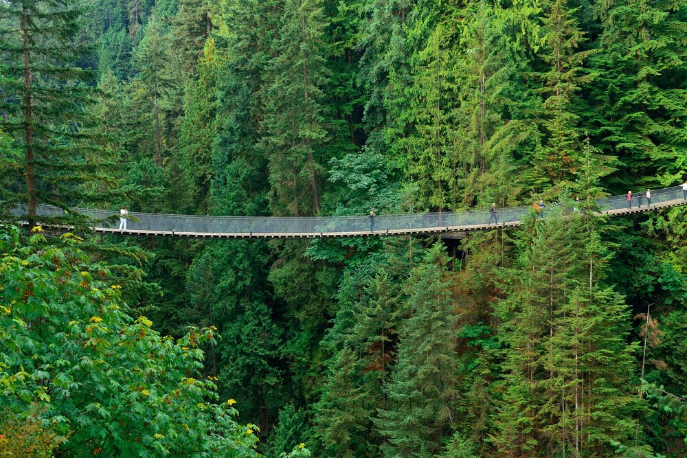 Puente colgante de Capilano, Vancouver, con gente atravesándolo en medio de las coníferas que lo rodean