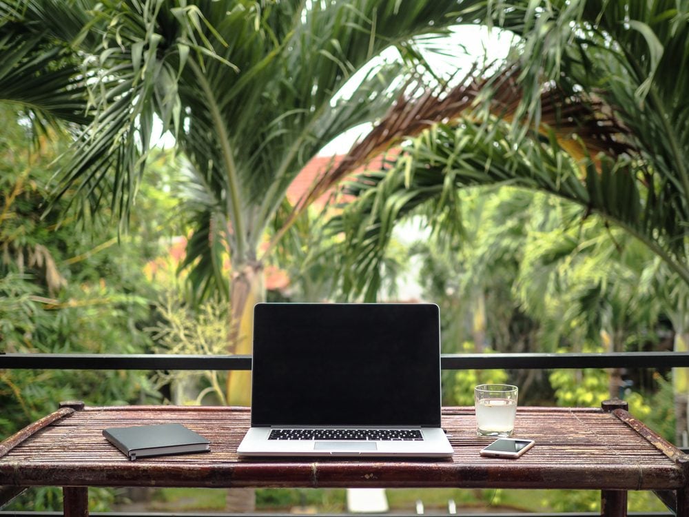 Ordenador portátil sobre mesa de madera con fondo de jungla de palmeras