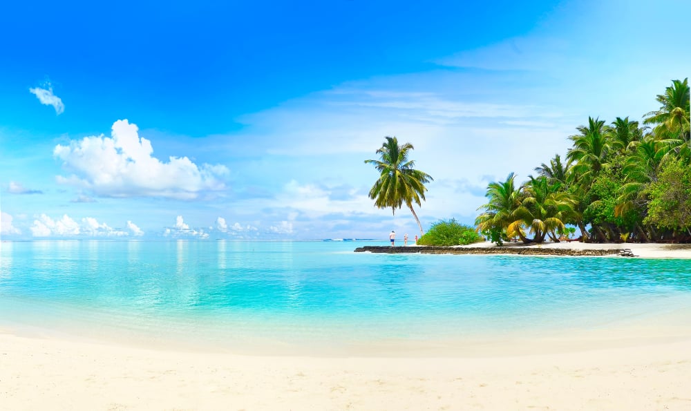playa tropical con palmeras