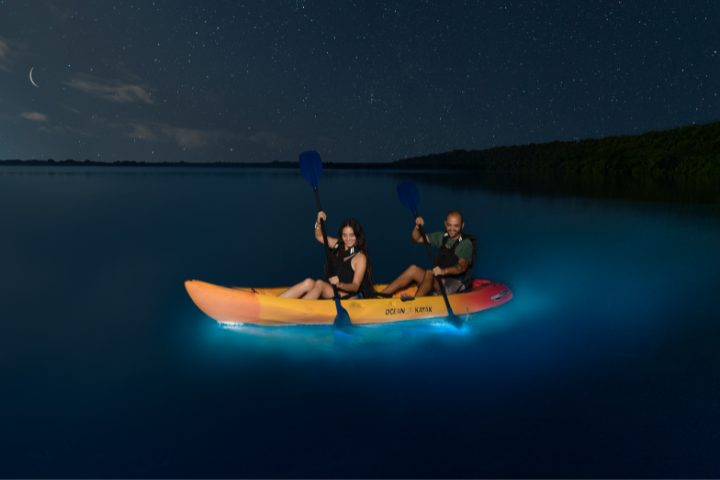 bahía bioluminiscente 