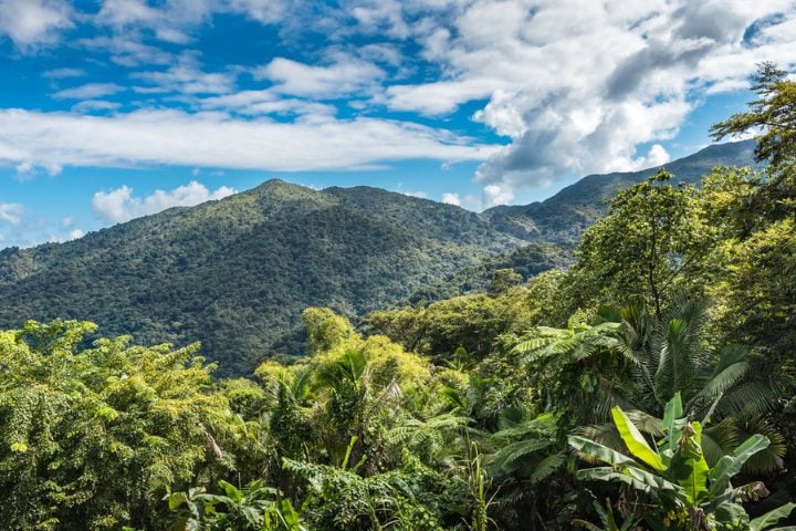 Bosque Nacional pluvial El Yunque
