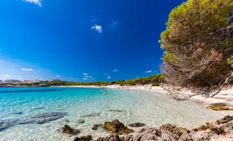 Báñate en las mejores playas de Mallorca