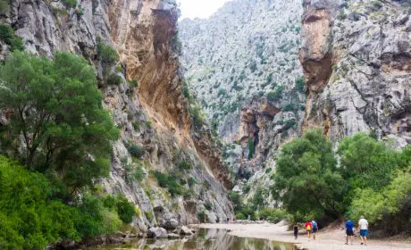 Disfruta las mejores actividades que hacer en Mallorca.