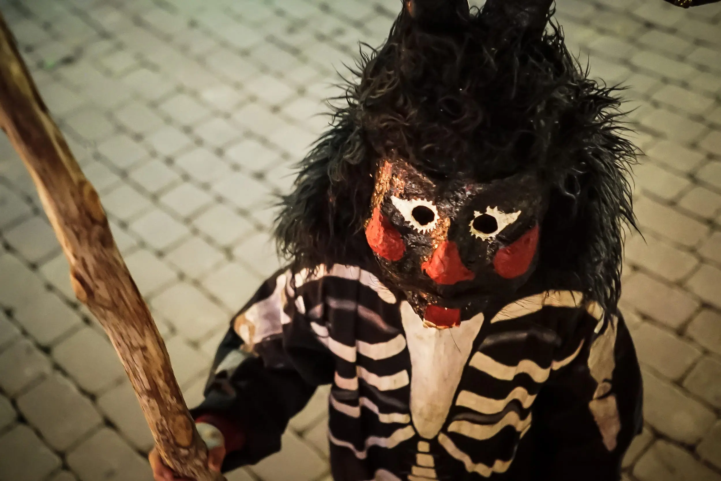 Fiestas de Sant Antoni en enero