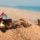 perro de dachshun en la arena en la playa menorca