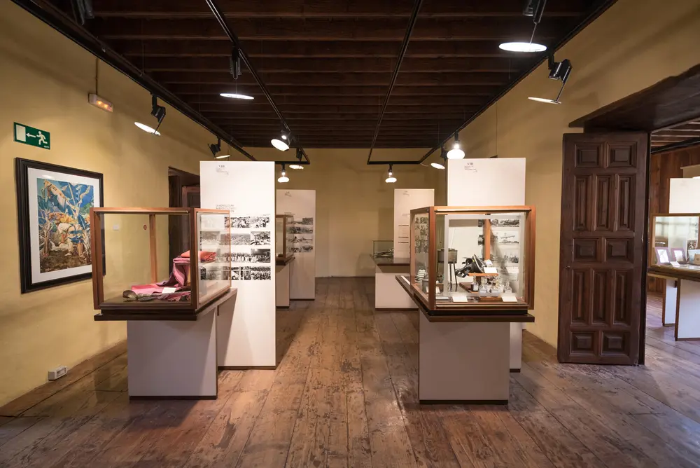 museo de historia y de arqueología Tenerife