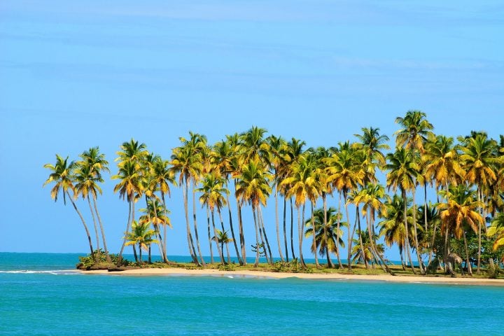 playa Miches con palmeras
