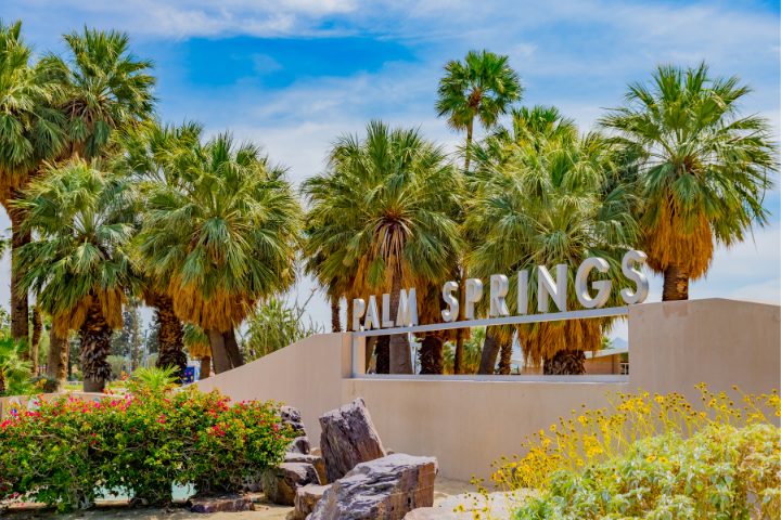 Palm Springs películas