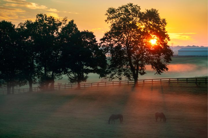 atardecer en Versalles, Kentucky 