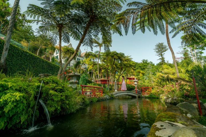 Jardín Tropical Monte Palace