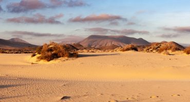 Actividades en Fuerteventura: Aventuras en el Paraíso Canario